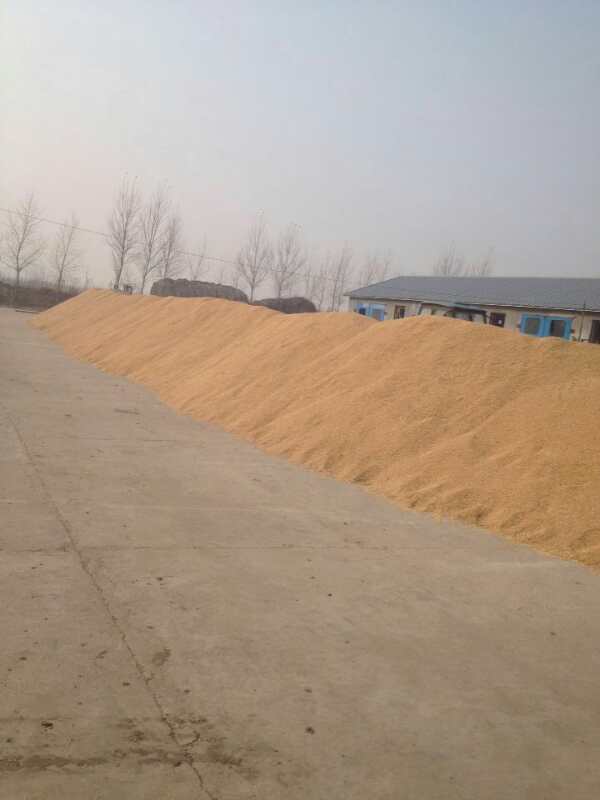 水稻黑龙江省方正县水稻种植  水稻收购