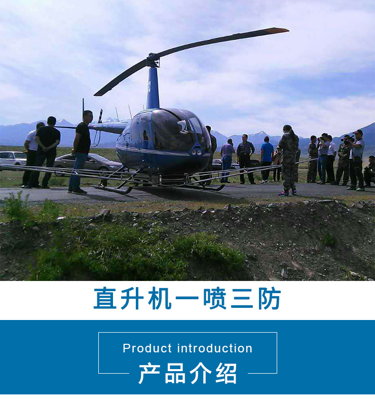 广东直升机出租 广东直升机租赁
