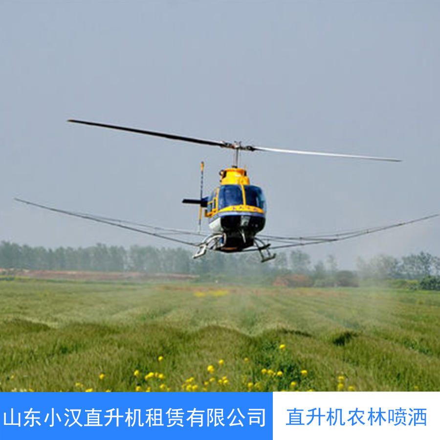 直升机农林喷洒 直升机护林 直升机农林灌溉