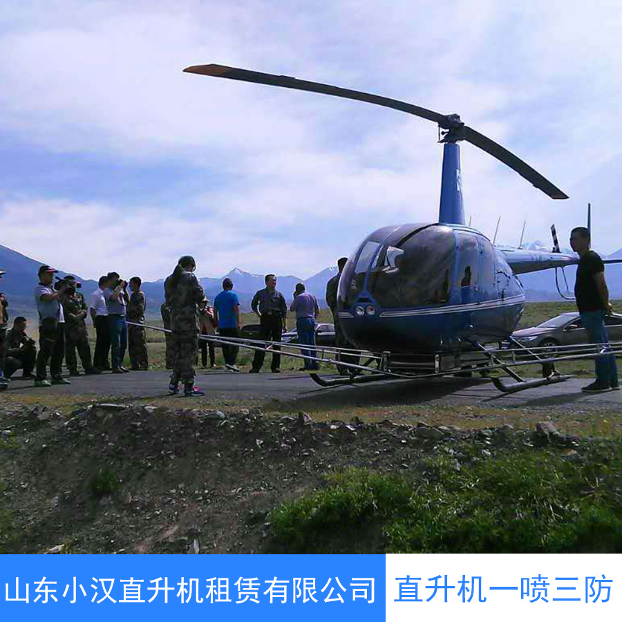 永州直升机航拍航测 物探巡线批发
