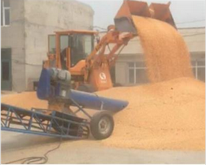 吉林桦甸市粮食购销   玉米种植   复合肥肥料销售