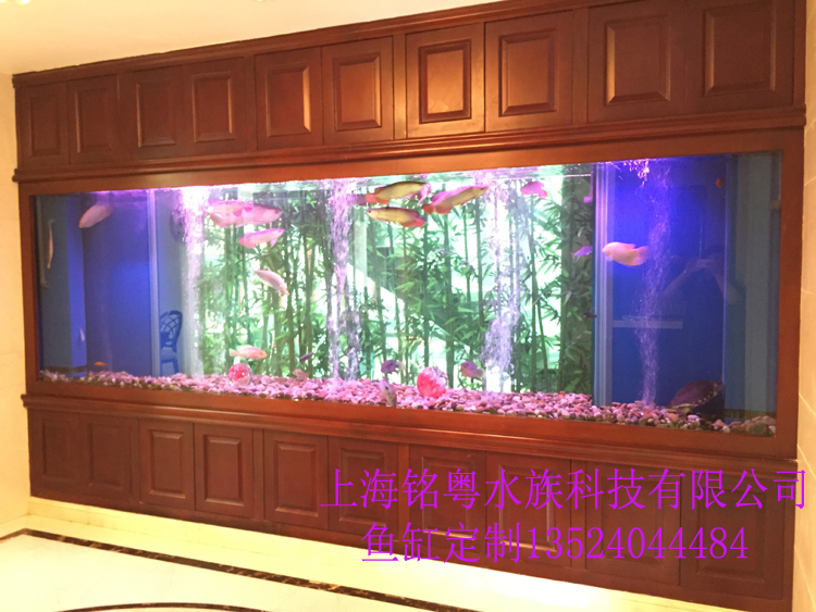 铭粤水族承接大型玻璃生态观赏鱼缸 海水鲨鱼水族箱图片