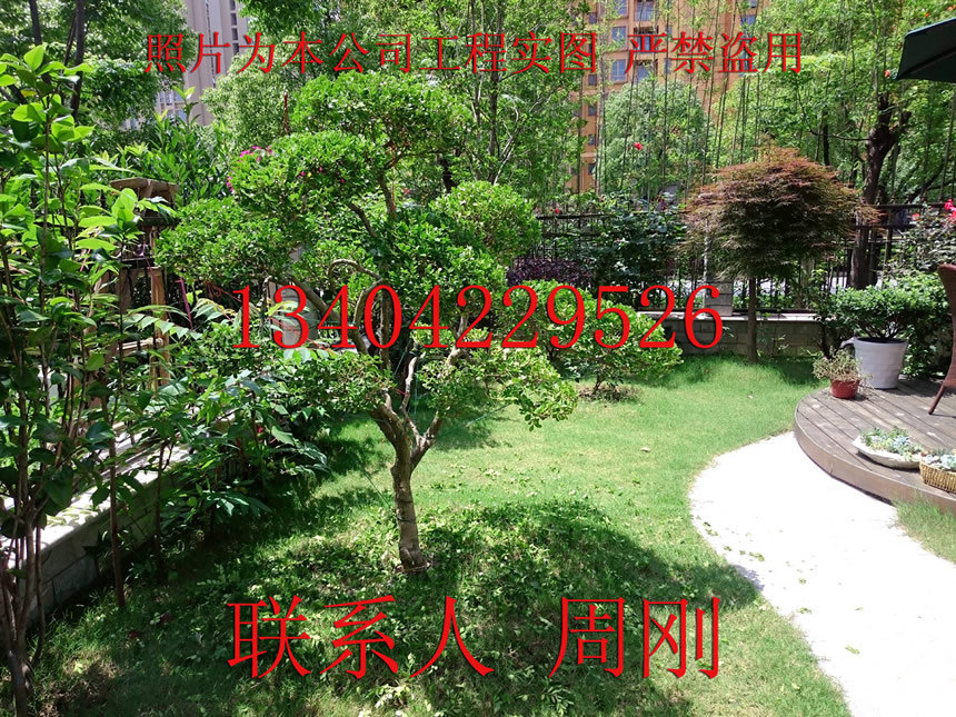 供应苏州别墅景观设计、苏州庭院设计公司、花园绿化设计、庭院景观