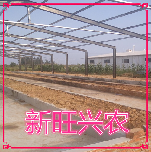 泊头新旺兴农养猪大棚建设8626圆拱蔬菜种植大棚