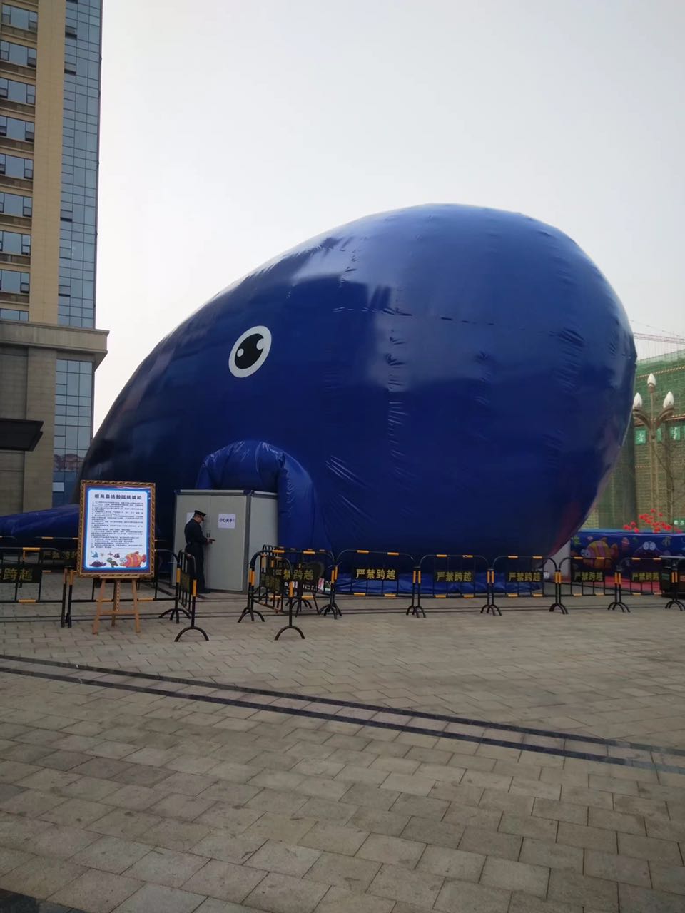 大型互动鲸鱼岛海洋球