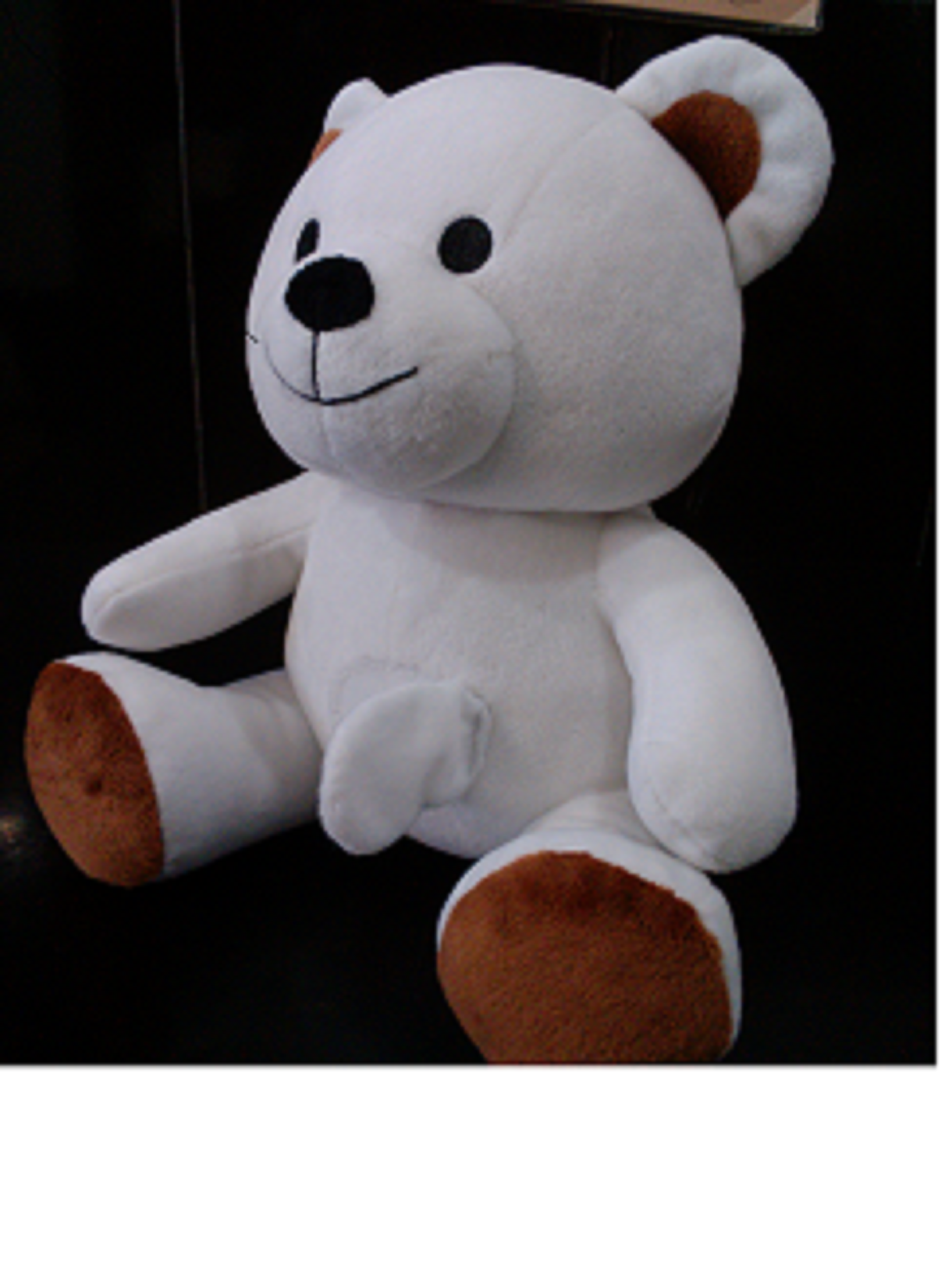 儿童玩具毛绒玩具熊熊定制、开发图片