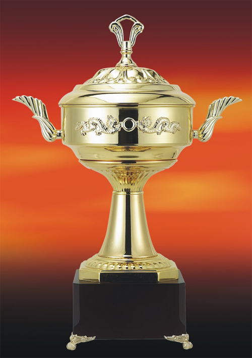 个人表彰奖杯，田径比赛奖杯，运动会比赛纪念杯，厂家奖杯销售