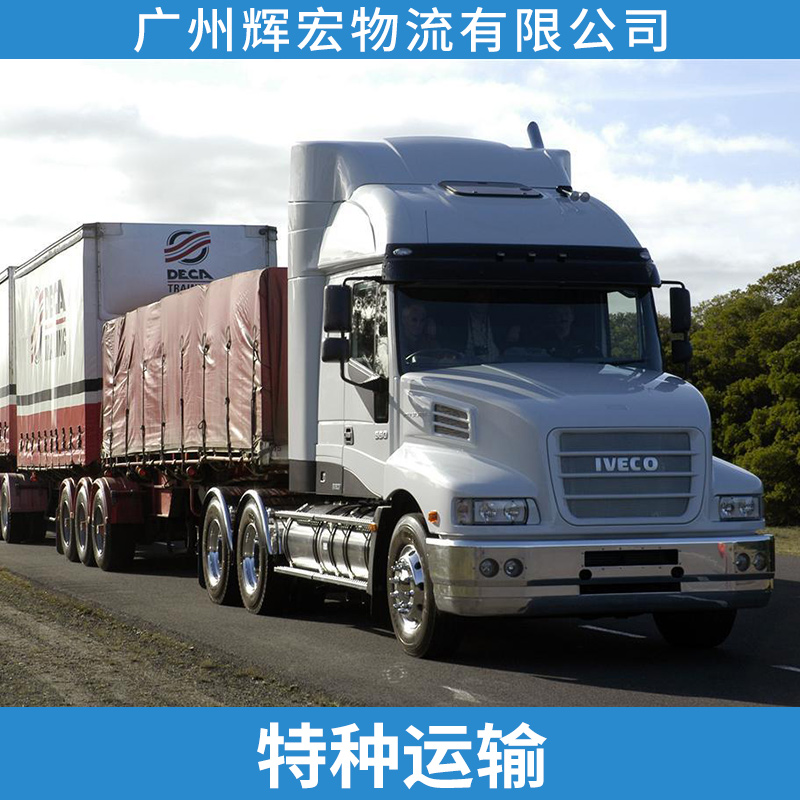 广州辉宏物流公司特种运输配送服务 特种货物陆路运输货运车队图片