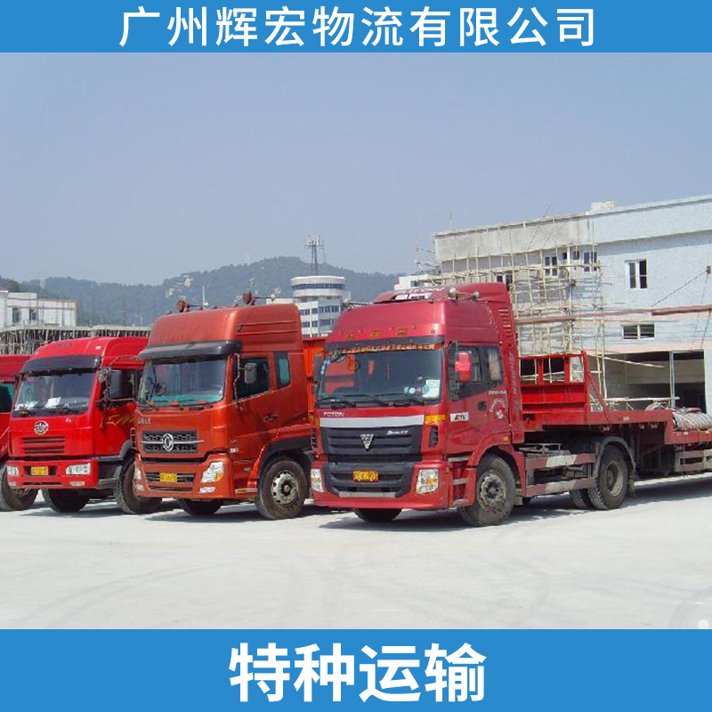 广州市特种运输厂家广州辉宏物流公司特种运输配送服务 特种货物陆路运输货运车队