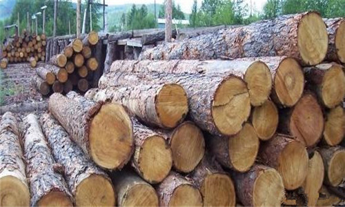 非洲原木木材进口报关清关全套代理