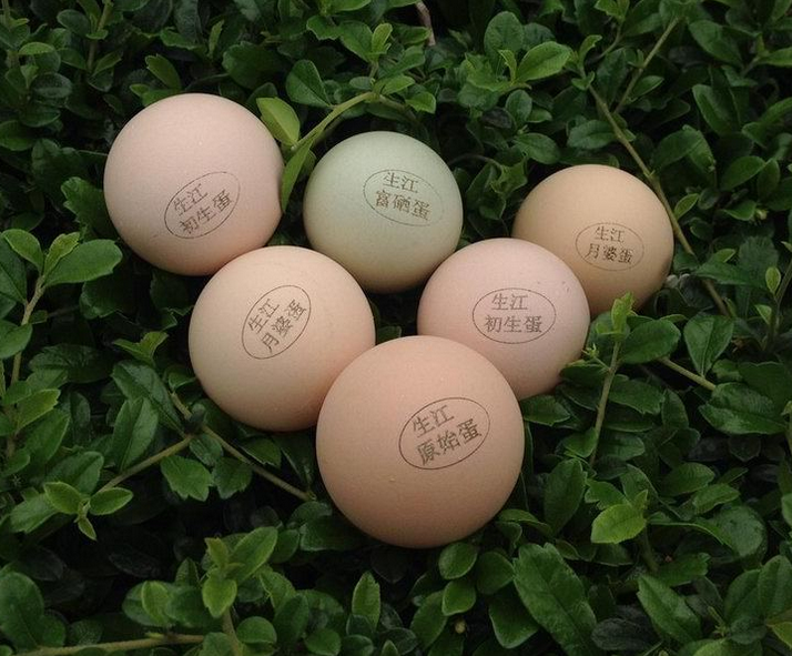 生江初生蛋鲜鸡蛋土鸡蛋草鸡蛋无公害鸡蛋本地鸡蛋鸡场直销包邮图片