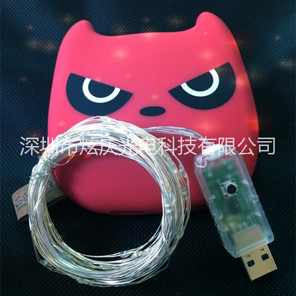 深圳市USB铜线灯串厂家