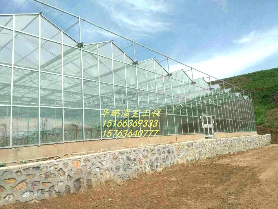 玻璃温室、温室大棚建设玻璃温室、温室大棚建设