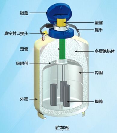 大口径金凤液氮罐（125口径）便携式液氮罐