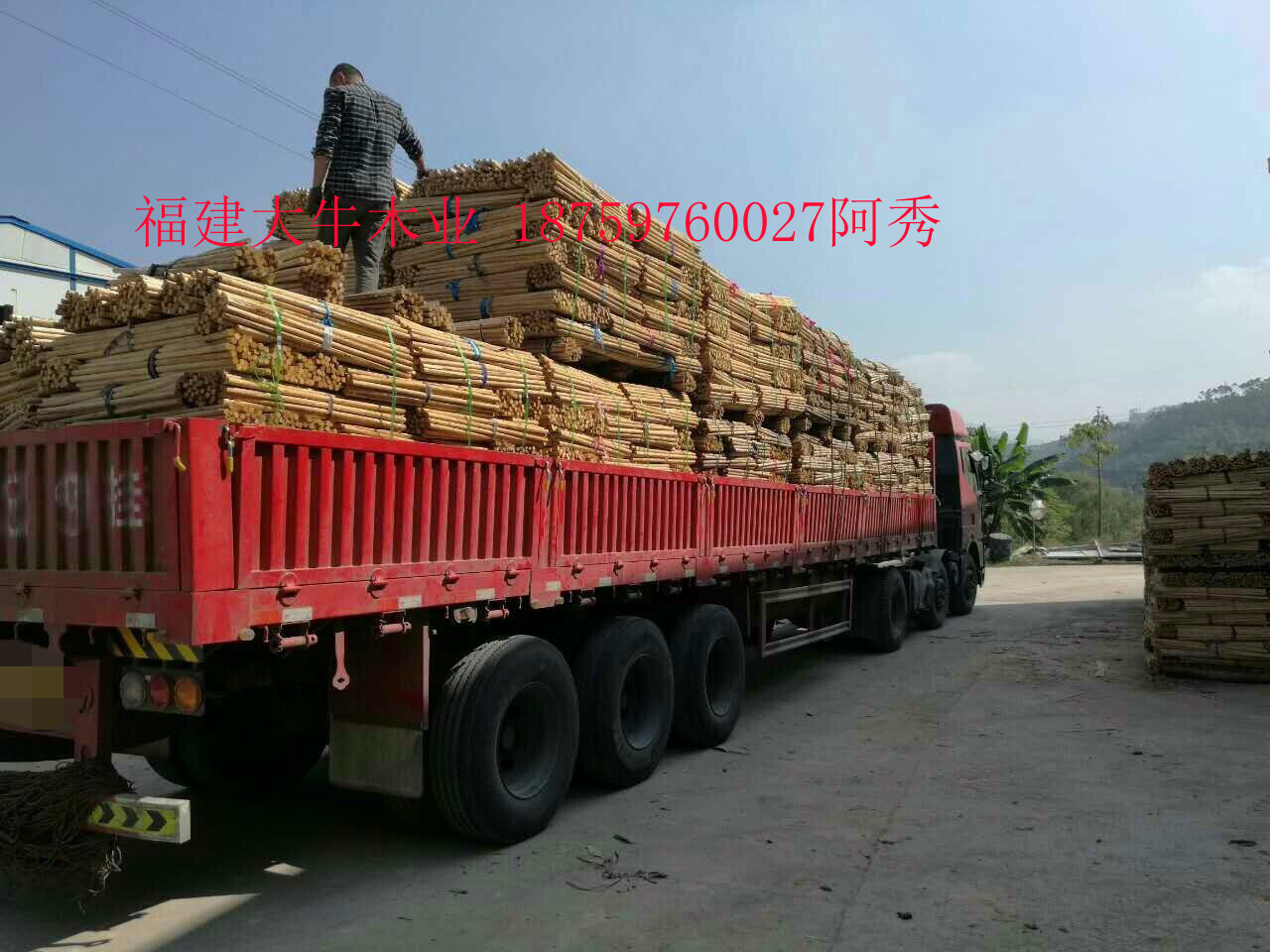 广西桉木轴子厂家  广西桉木木芯批发