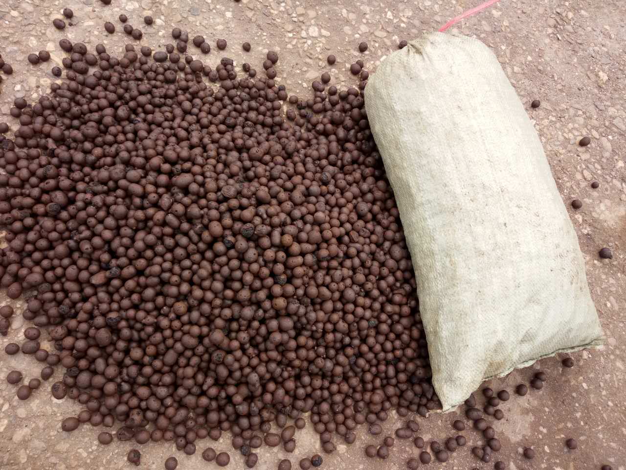 长沙陶粒厂长沙那里有陶粒 园艺栽培陶粒