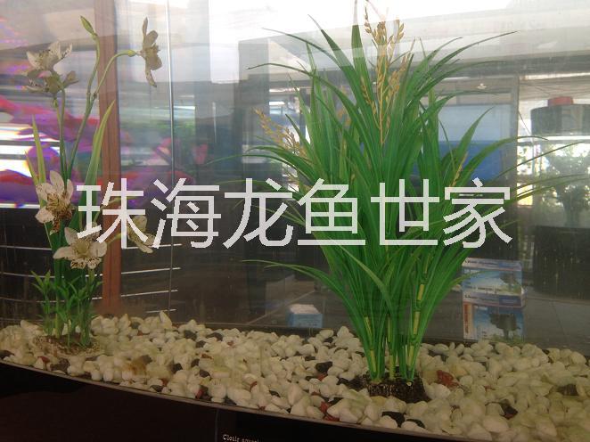 广东鱼缸批发 大量鱼缸批发 鱼池定做