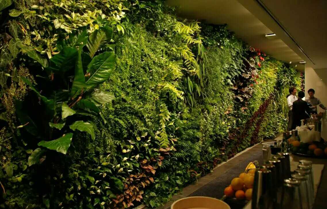 临沂立体绿化|临沂植物墙设计施工|垂直立体绿化|山东尚景生态科技图片