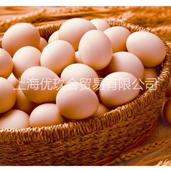 上海优玖合土鸡蛋