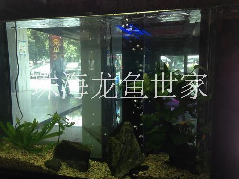 珠海玻璃珊瑚鱼缸 大量销售玻璃鱼缸