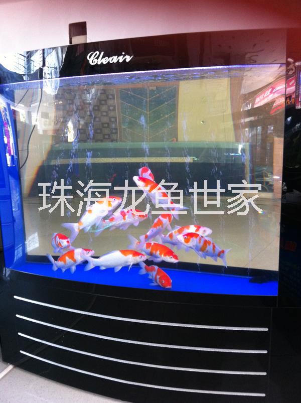 中山鱼缸批发 珊瑚鱼缸中山鱼缸批发 珊瑚鱼缸 台式鱼缸 批量销售鱼缸