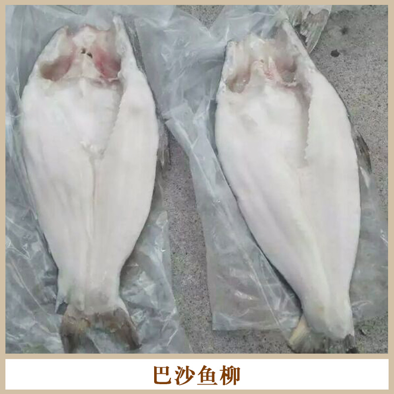 景坤农业越南进口巴沙鱼柳 湄公河鲶鱼冷冻冰鲜无刺巴沙鱼块片批发图片