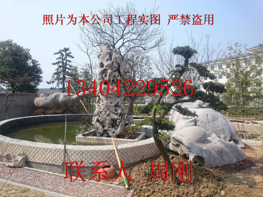 苏州市上海别墅绿化工程、庭院苗木基地厂家