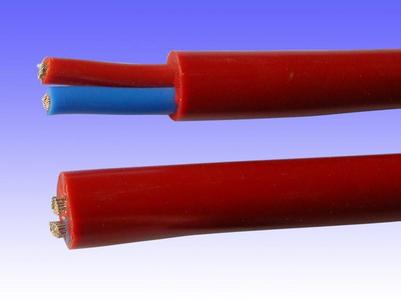 天长市安乐特种销售公司国家 硅橡胶电缆 KVVP电缆 BVV电缆