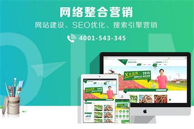 天津网络营销-诺亚科技