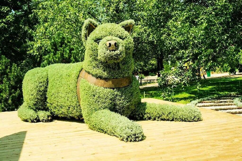 上海市绿雕制作绿雕公司厂家绿雕制作绿雕公司寻找全国合作伙伴