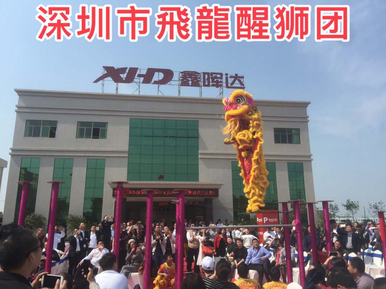 江西舞狮队 江西省最专业的舞狮团队 大型醒狮跳梅花桩表演  江西舞狮队的价格 江西舞狮队电话是多少