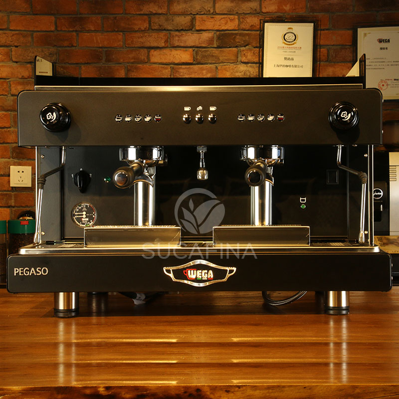意大利WEGA半自动咖啡机pegaso E61毕加索 双头电控高杯商用意式