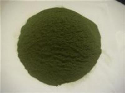 供应海青菜粉，山东海藻粉厂家图片