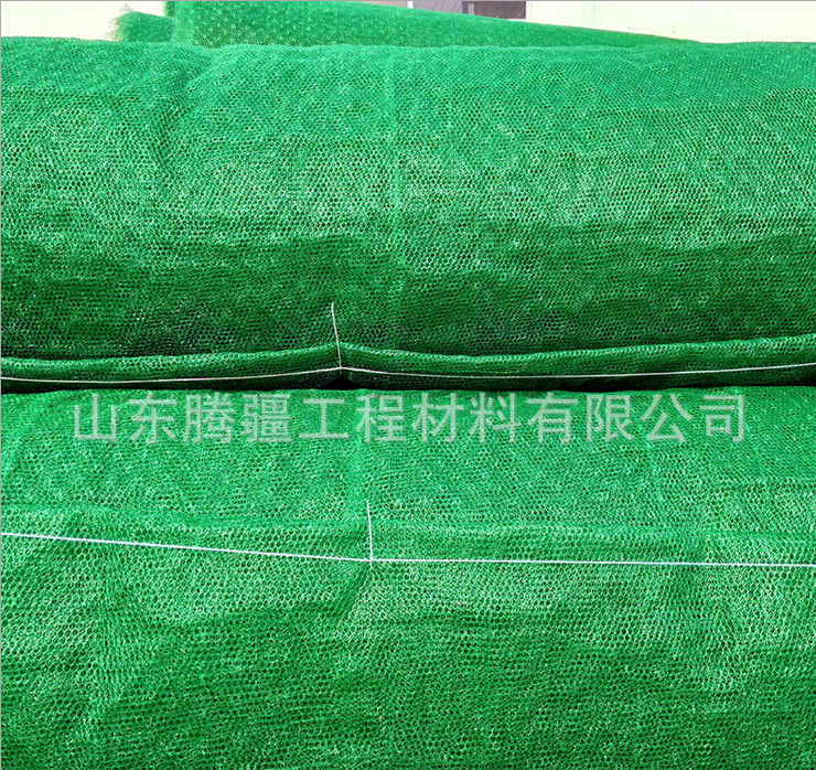 山东土工网生产厂家 供应CE131绿色土工网 路基加固土工网耐腐蚀
