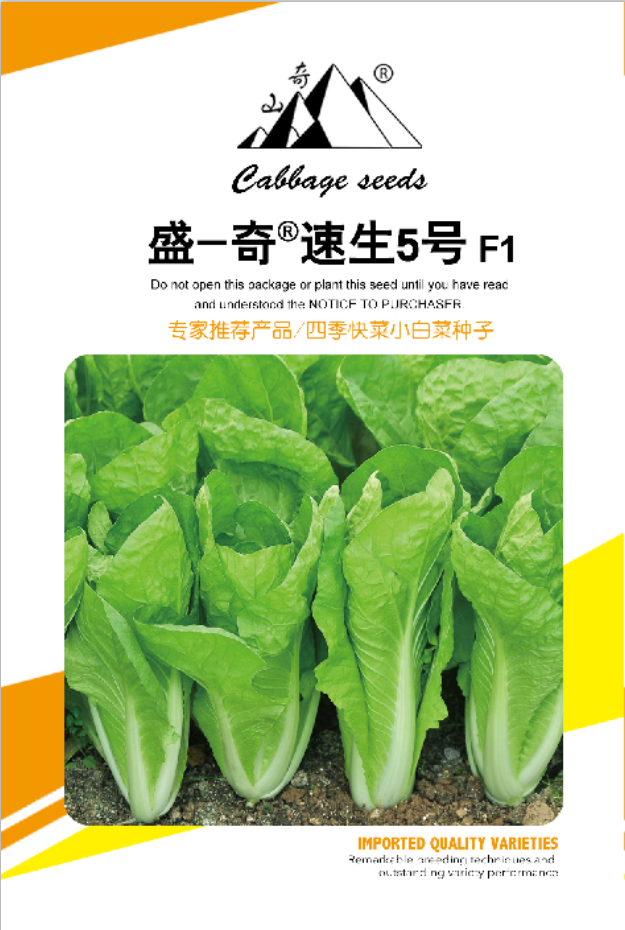 盛-奇速生5号快菜种子，盛琪蔬菜种子公司销售，专家推荐品种图片