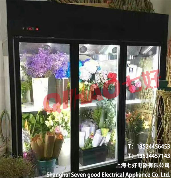 鹰潭鲜花展示柜花店花卉冷藏保鲜柜