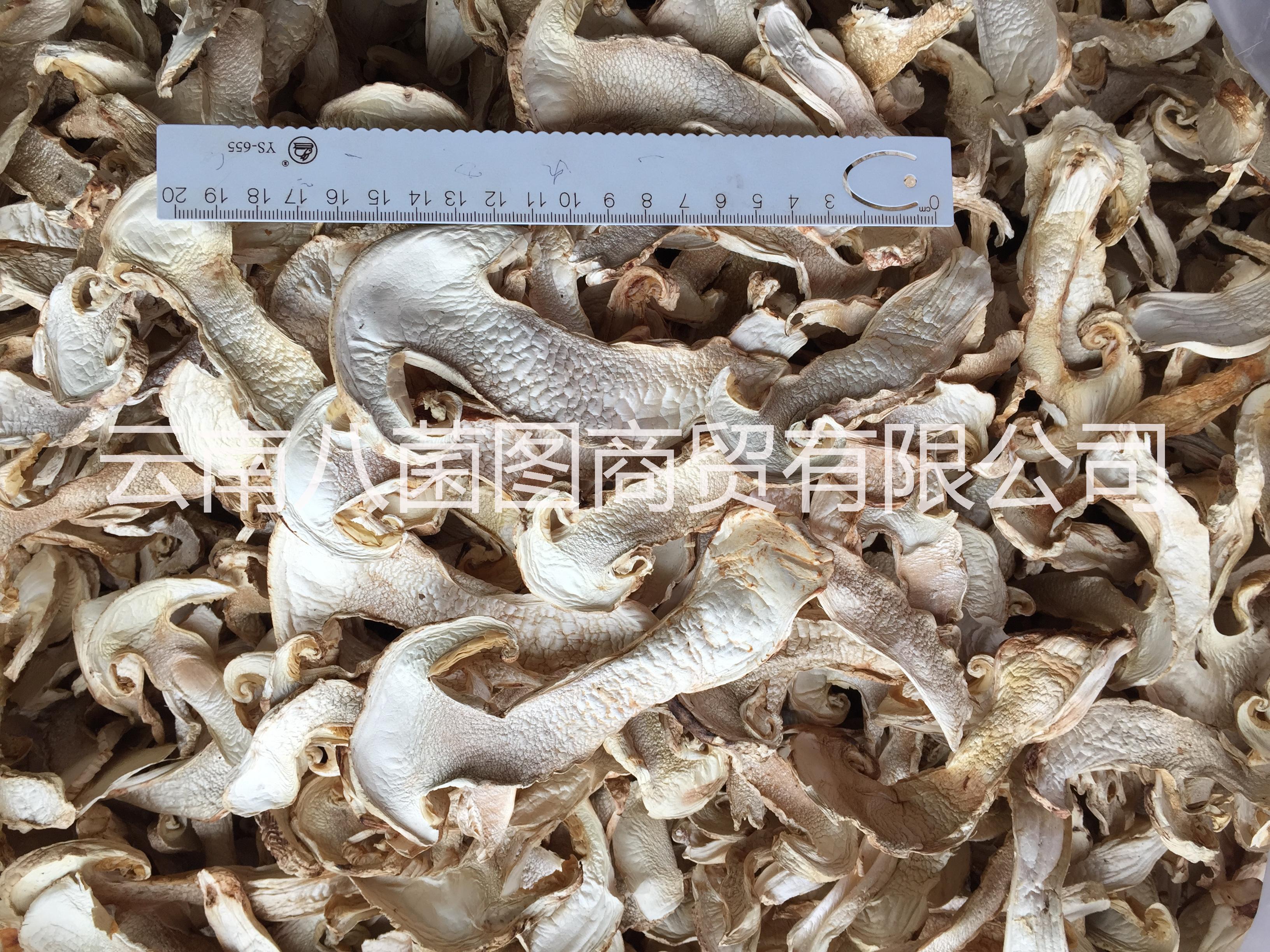 野生松茸菌干货 高原特产蘑菇 野生菌价格 松茸供应商