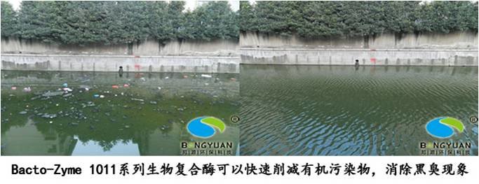 北京市生物—生态修复技术厂家