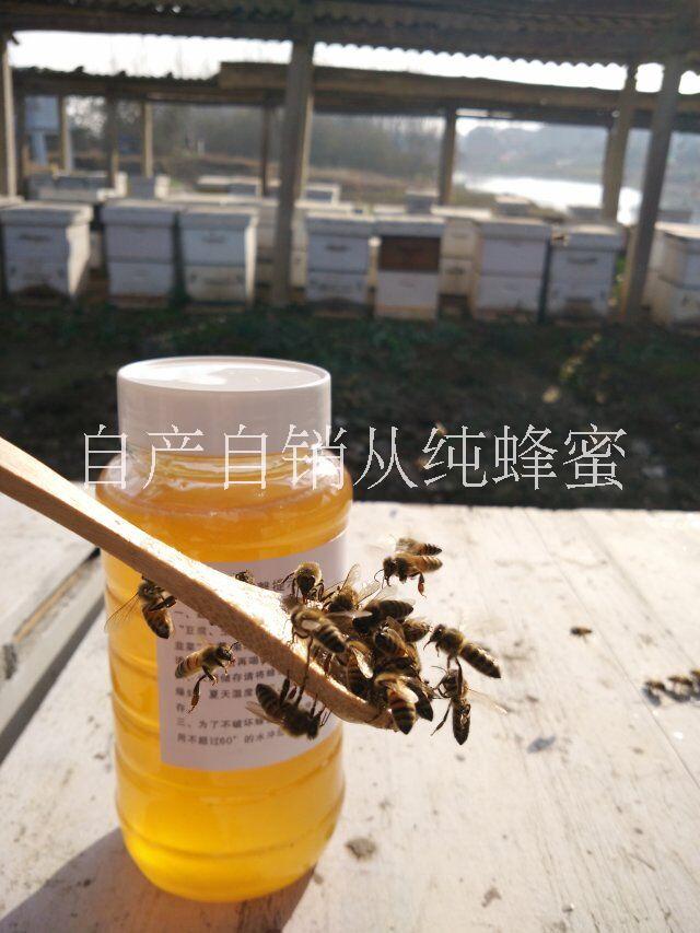 枣花蜜蜂蜜纯正天然野生农家自产枣花蜜蜂蜜纯正天然野生农家自产 原生态 零添加