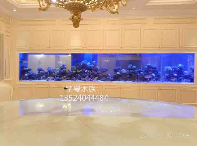 杭州玻璃观赏鱼缸批发