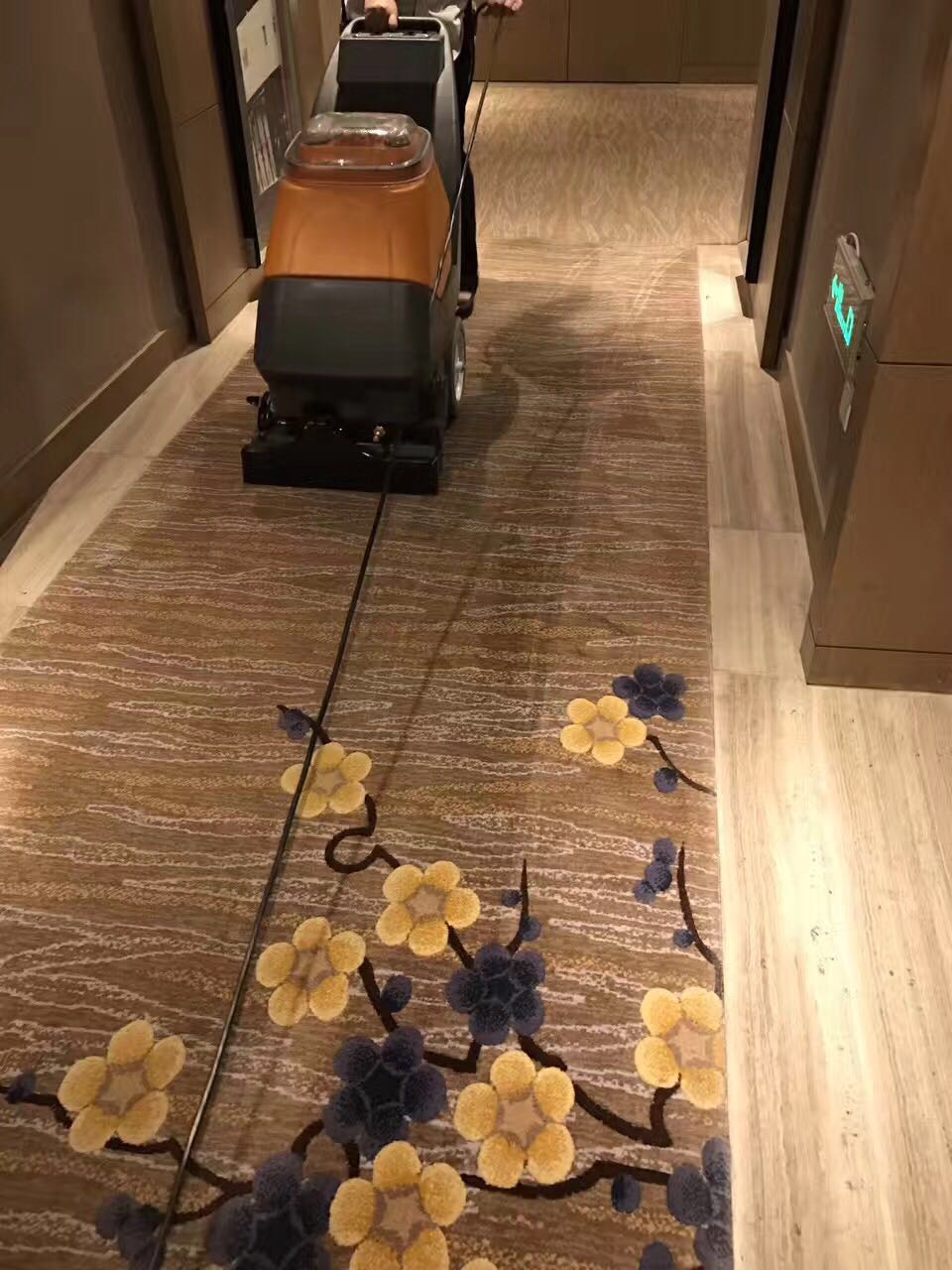 广州地毯清洗广州专业地毯清洗公司 广州地毯清洗联系电话图片