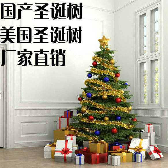 上海圣诞树供应商 上海圣诞树批发 厂家批发美国圣诞树 多种规格创意圣诞树