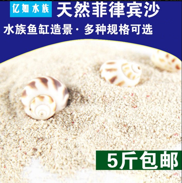 山东滨州菲律宾沙联系方式 珊瑚沙贝壳沙鱼缸底沙批发价格图片