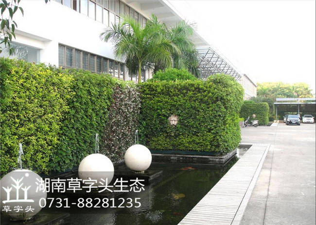 垂直绿化植物墙 长沙 株洲 湘潭 厂家批发价格 多少钱 哪家好