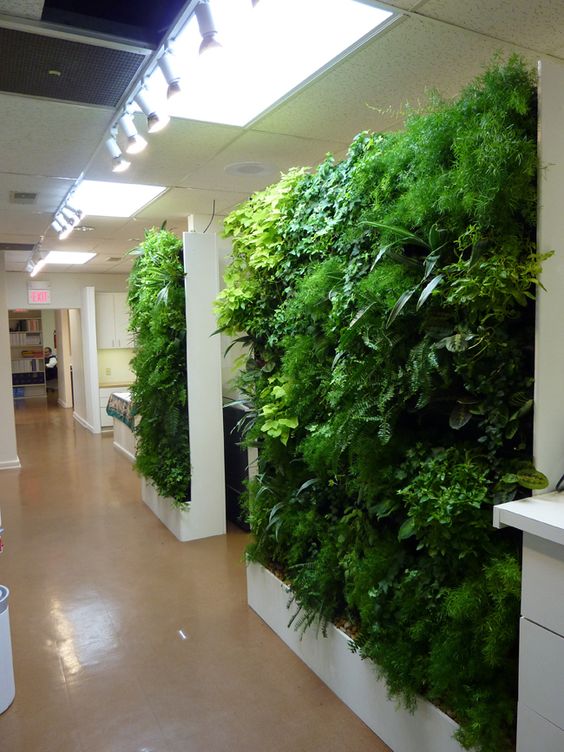 西安生态植物墙美化环境厂家西安生态植物墙美化环境