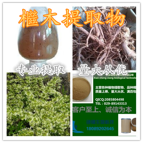 檵木提取物10:1   诚翔生物专业提取 现货供应