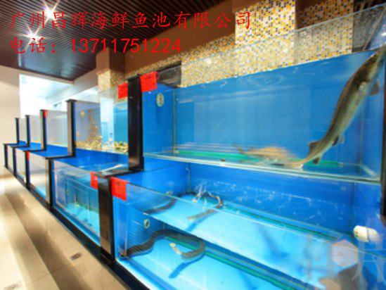 广州石化路亚克力鱼缸定做图片