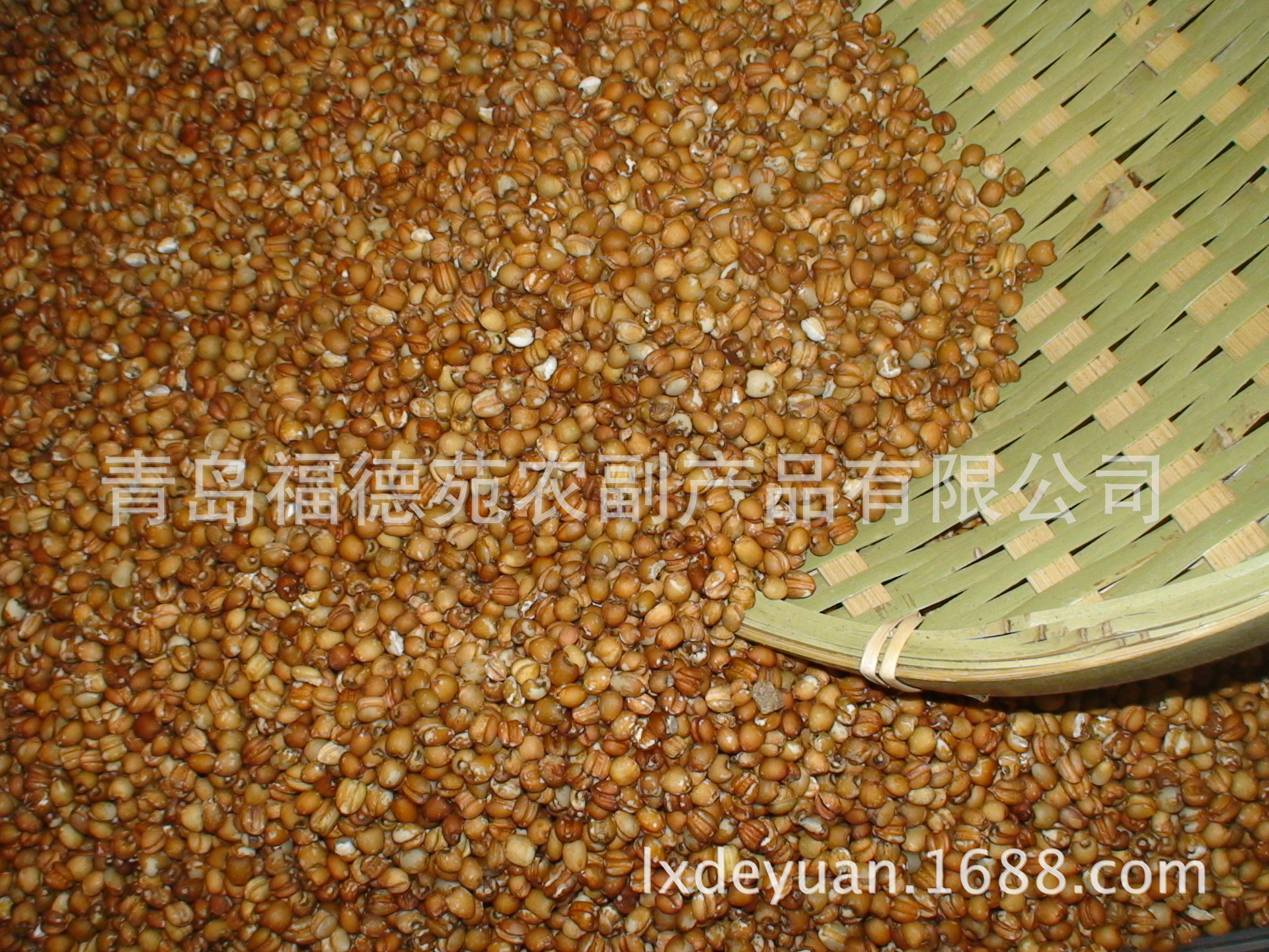 青岛市厂家产地直销山东小粒薏米，红薏厂家厂家产地直销山东小粒薏米，红薏米