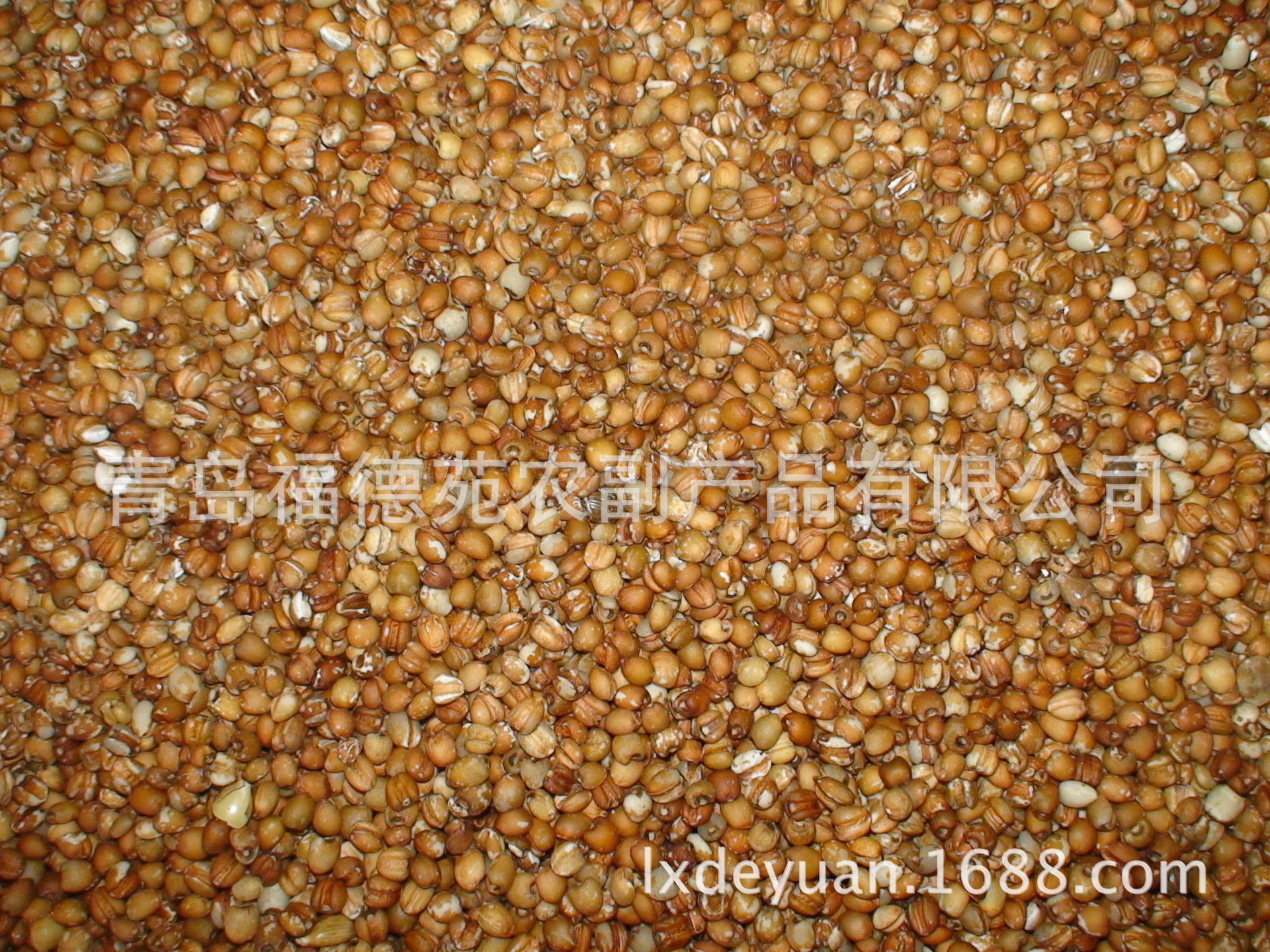 青岛市厂家产地直销山东小粒薏米，红薏厂家