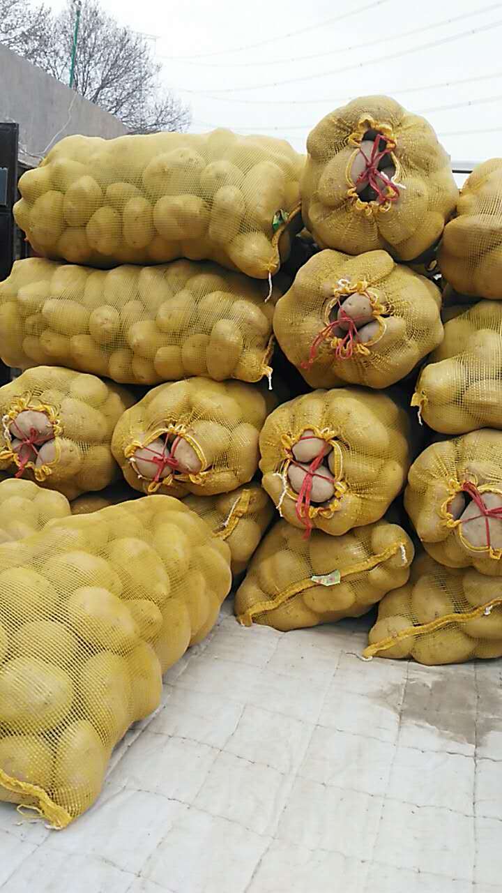 兰州市马铃薯供应   土豆批发零销售